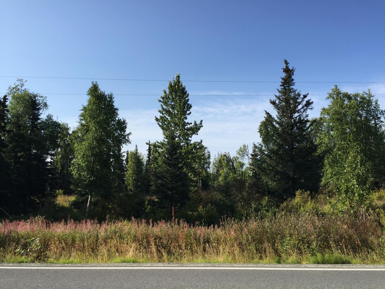 63747 Oil Well Rd, Ninilchik, AK 99639